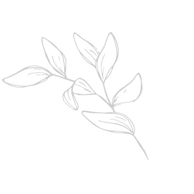 graphical leaf icon
